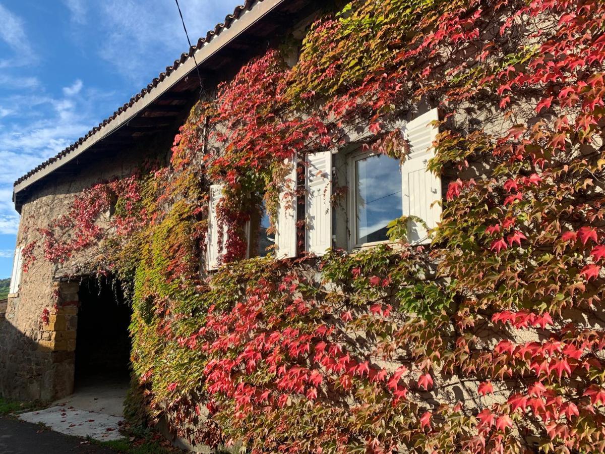 Hébergement de vacances Le De Buffetieres Saint-Romain-de-Popey